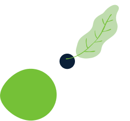 about-1-leaf-rtl about-1-leaf-rtl